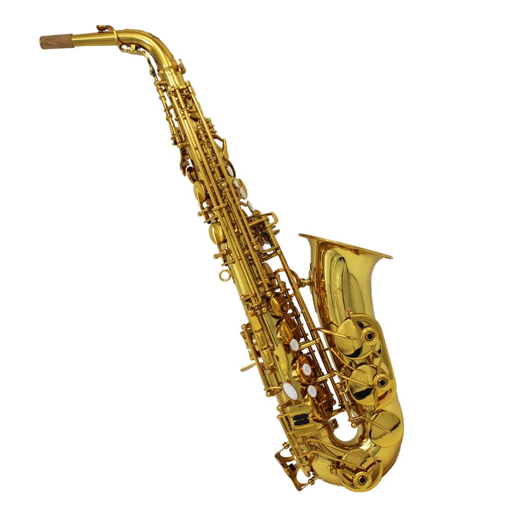 Alto Saxophone V791