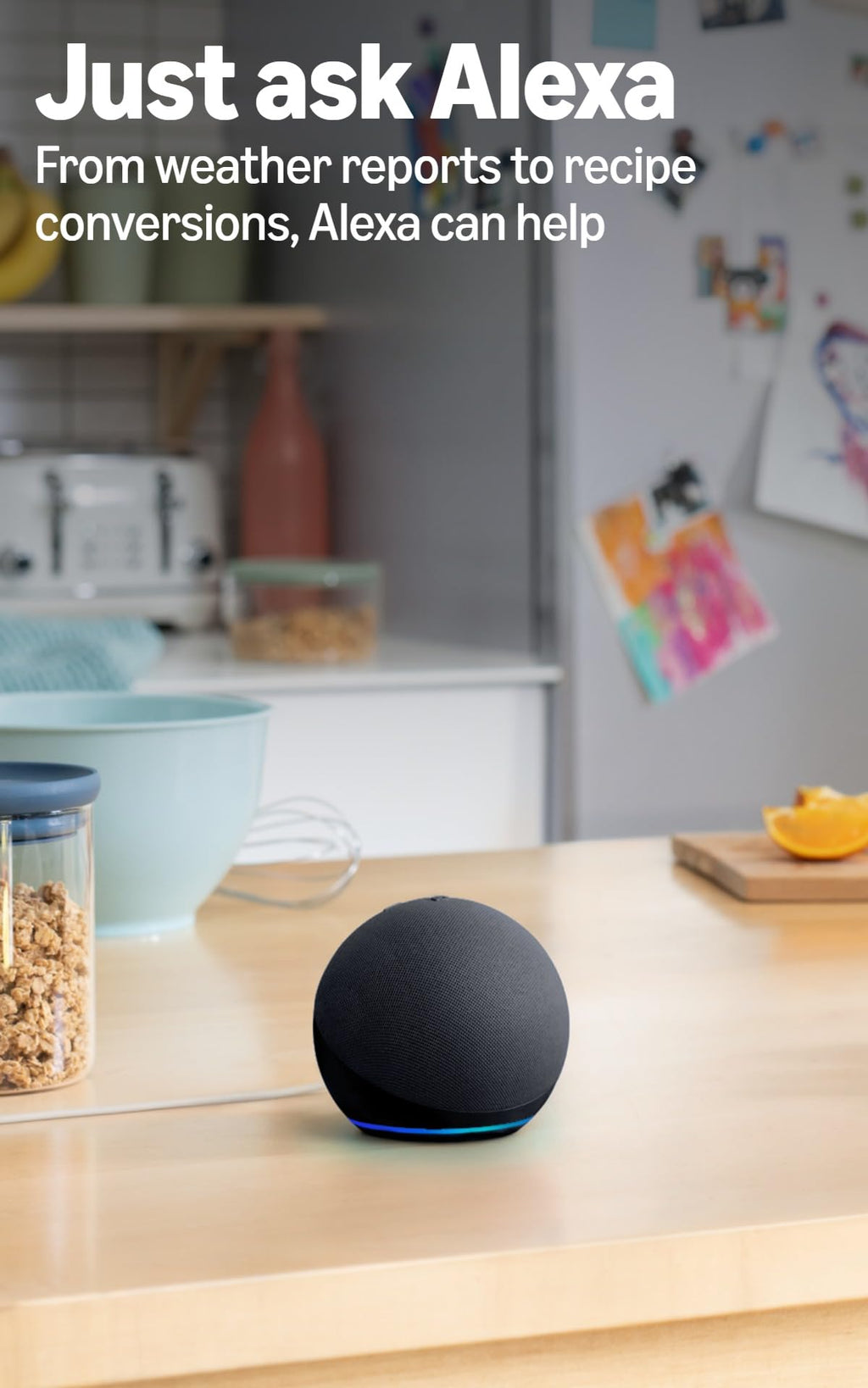 Charcoal Speaker L221437