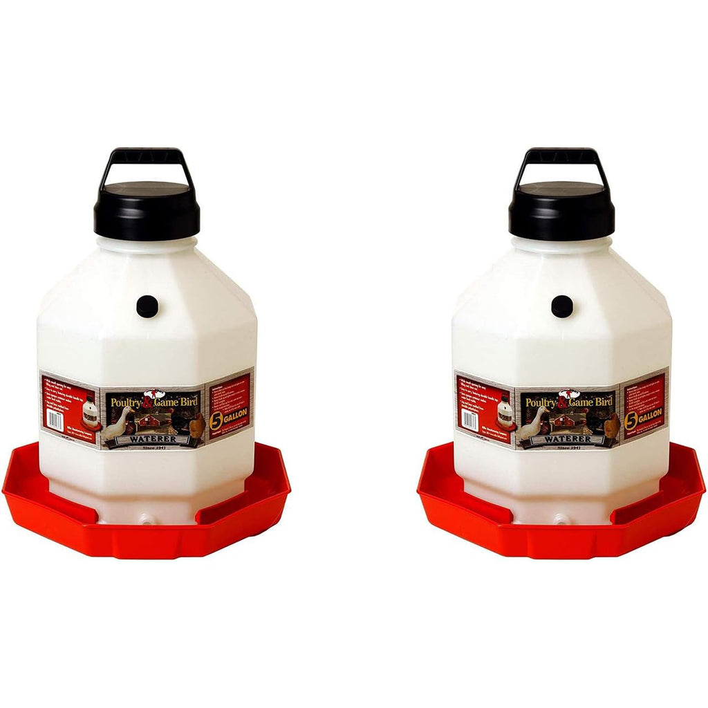 5 Gallon Hanging Automatic Poultry Waterer Dispenser, 2-Pack W68767