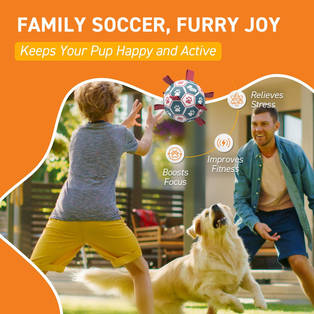 6 Inch Dog Soccer Ball with Straps Y55964