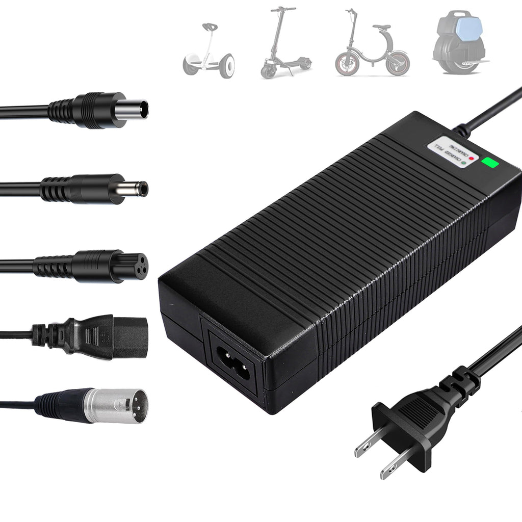 54.6V Charger for 48V Lithium Batteries W240504