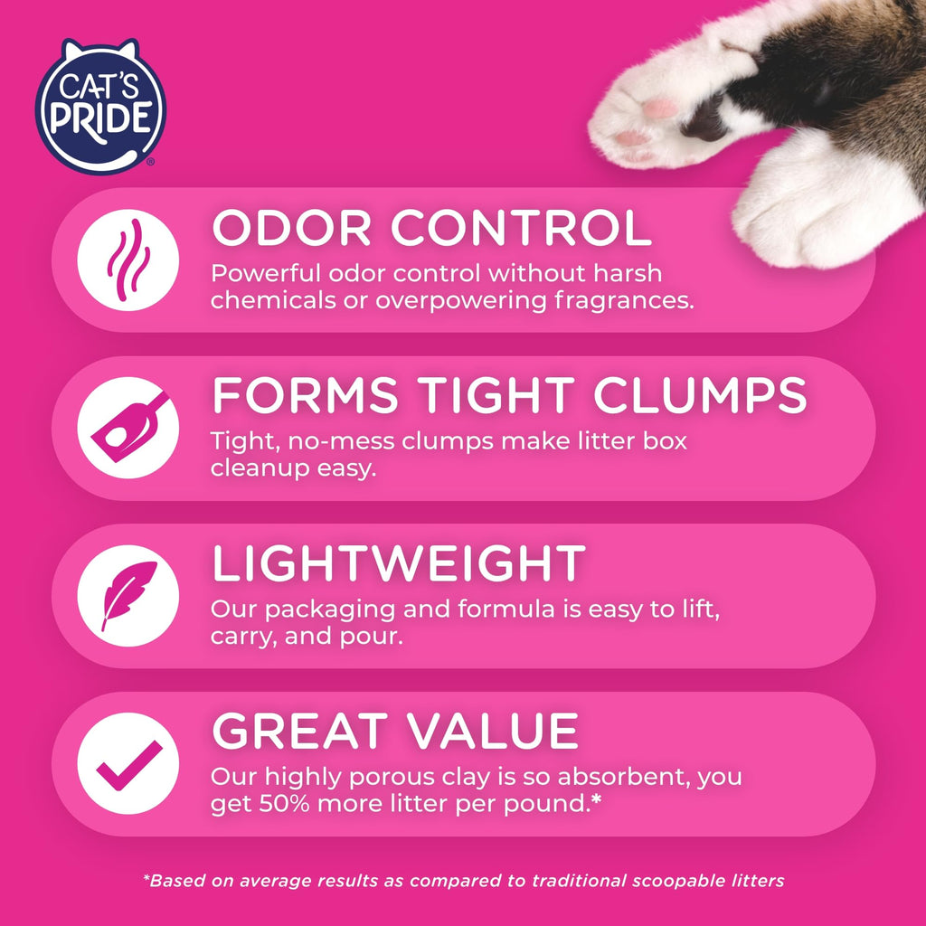 Scented Clumping Cat Litter 10lb N16089