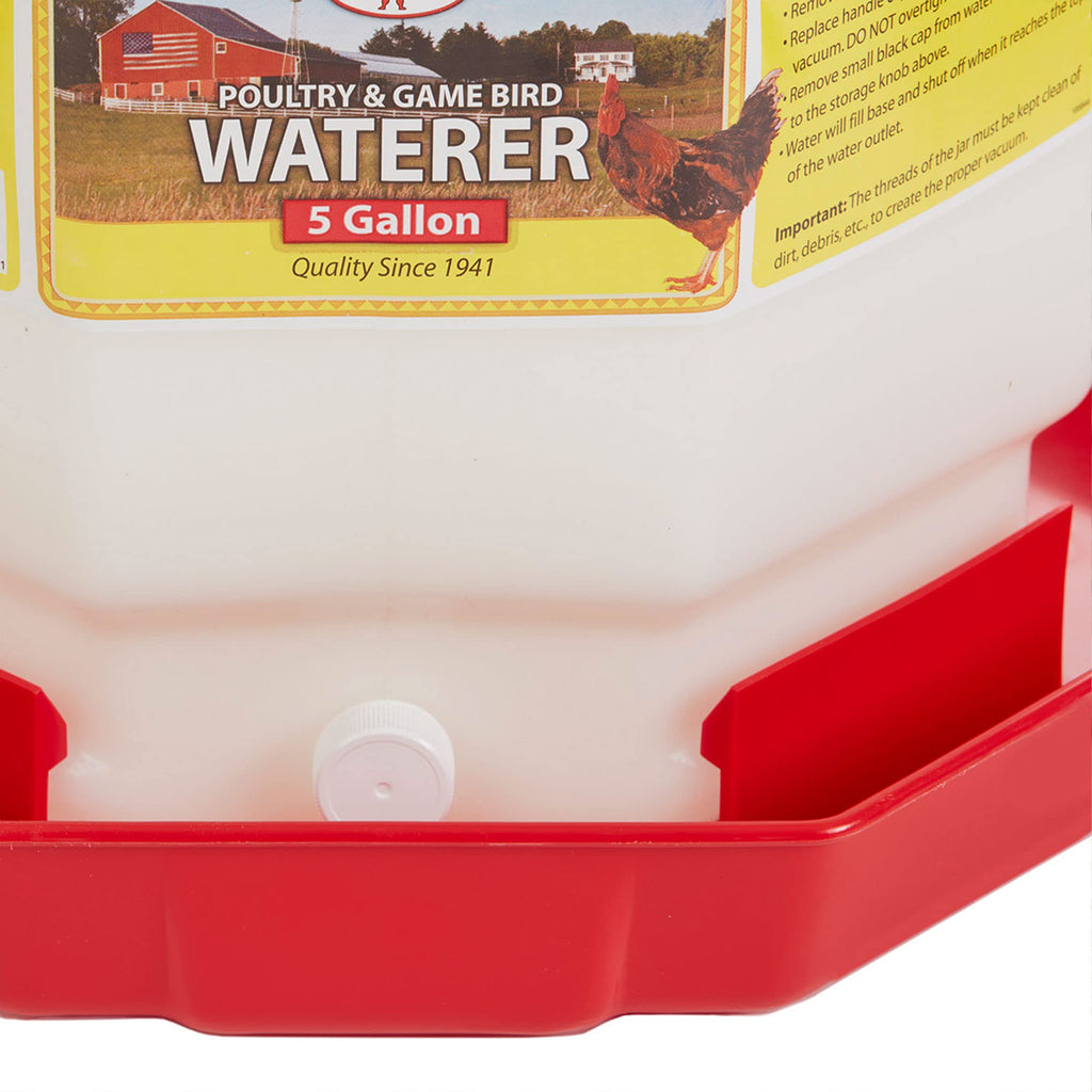 5 Gallon Hanging Automatic Poultry Waterer Dispenser, 2-Pack W68767