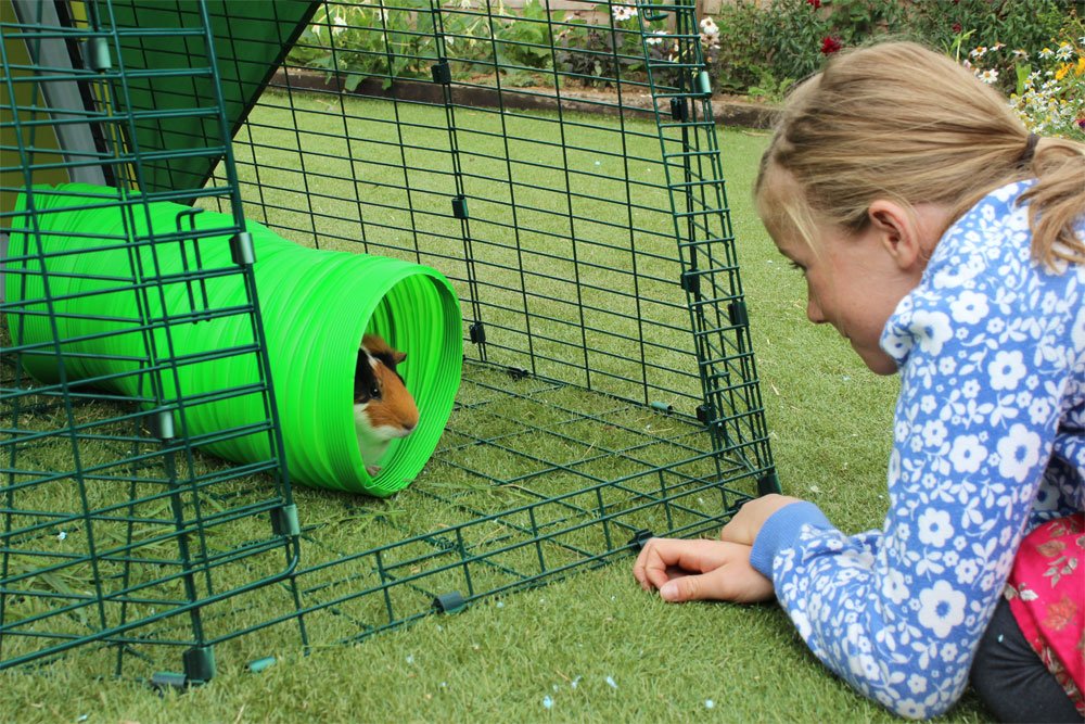 Green Flexible Bunny Warren Fun Tunnel T3766