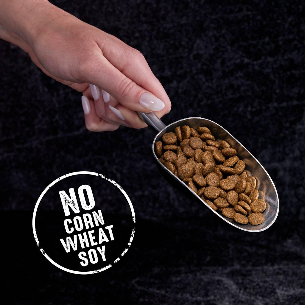 Grain Free High Protein Natural Dry Cat Food, Chicken, 4 lb O6974