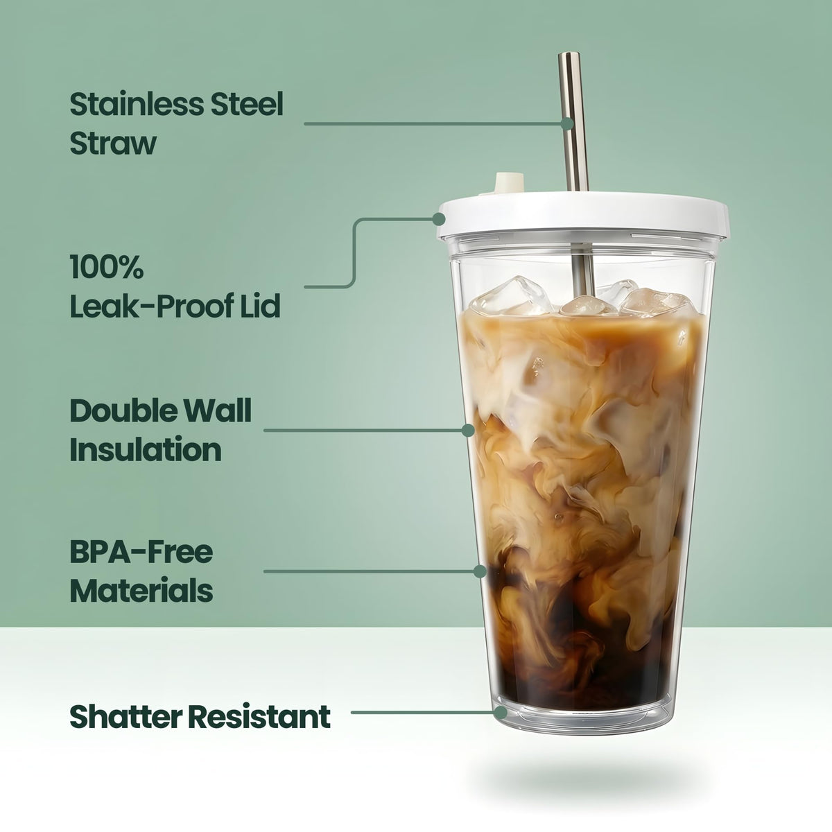 24 oz BPA-Free Double-Wall Insulated Plastic Tumbler with Lid and Straw M8481