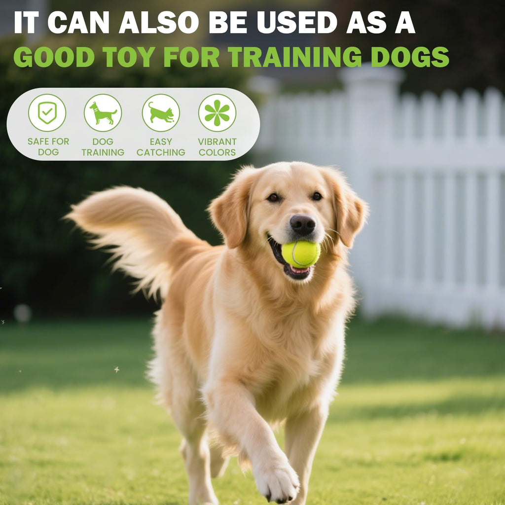 Tennis Ball 6/12/24/36/40/80 Pack Training Balls N460