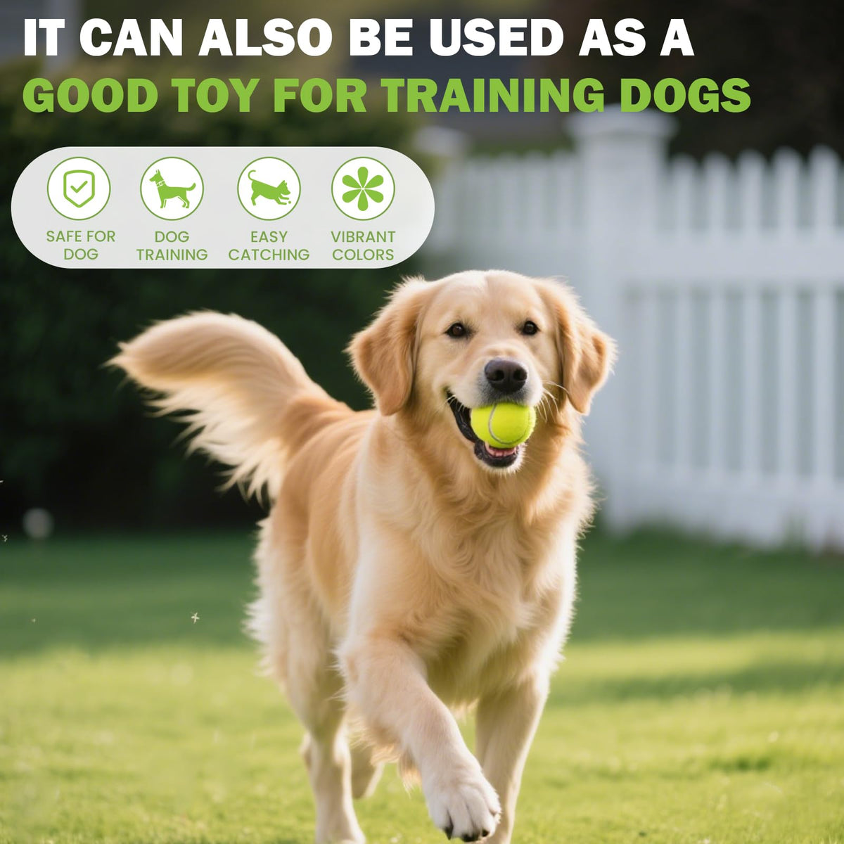 Tennis Ball 6/12/24/36/40/80 Pack Training Balls N460