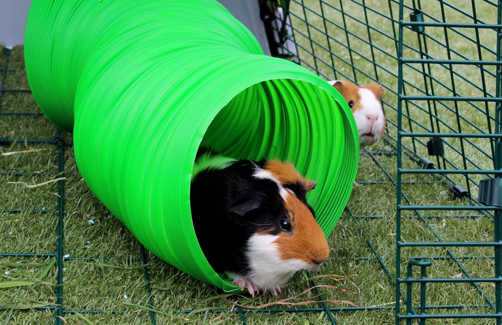 Green Flexible Bunny Warren Fun Tunnel T3766