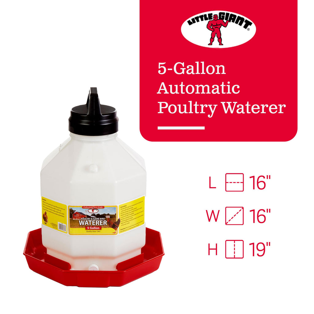 5 Gallon Hanging Automatic Poultry Waterer Dispenser, 2-Pack W68767