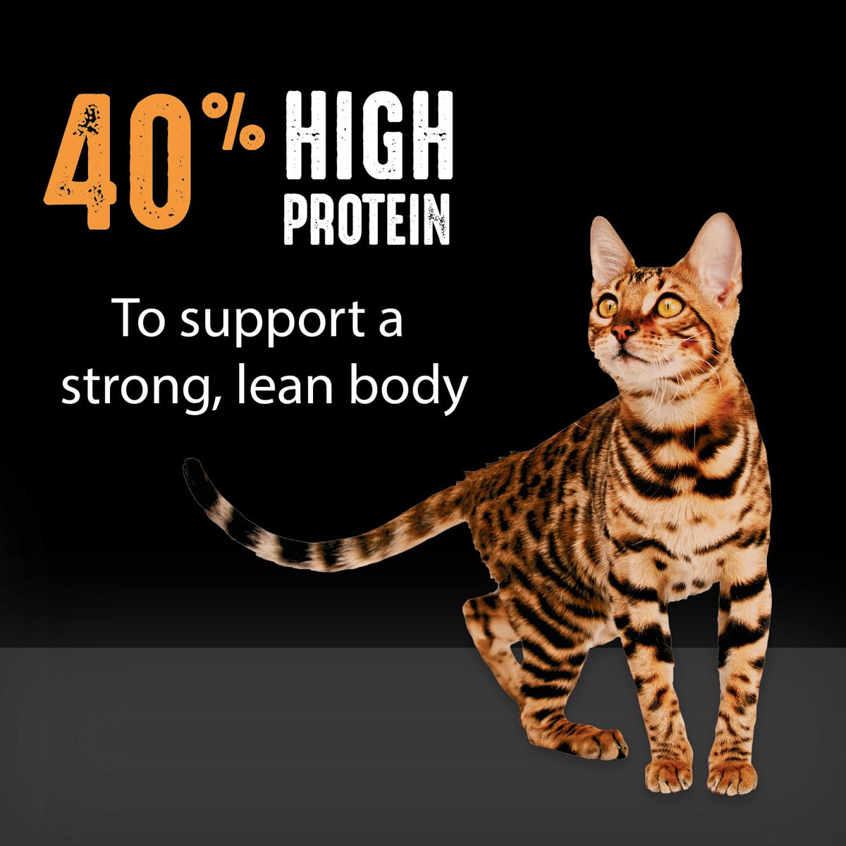 Grain Free High Protein Natural Dry Cat Food, Chicken, 4 lb O6974