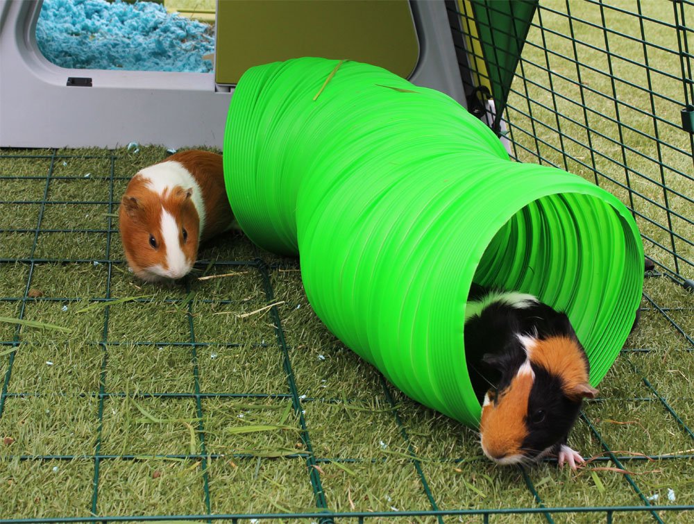 Green Flexible Bunny Warren Fun Tunnel T3766