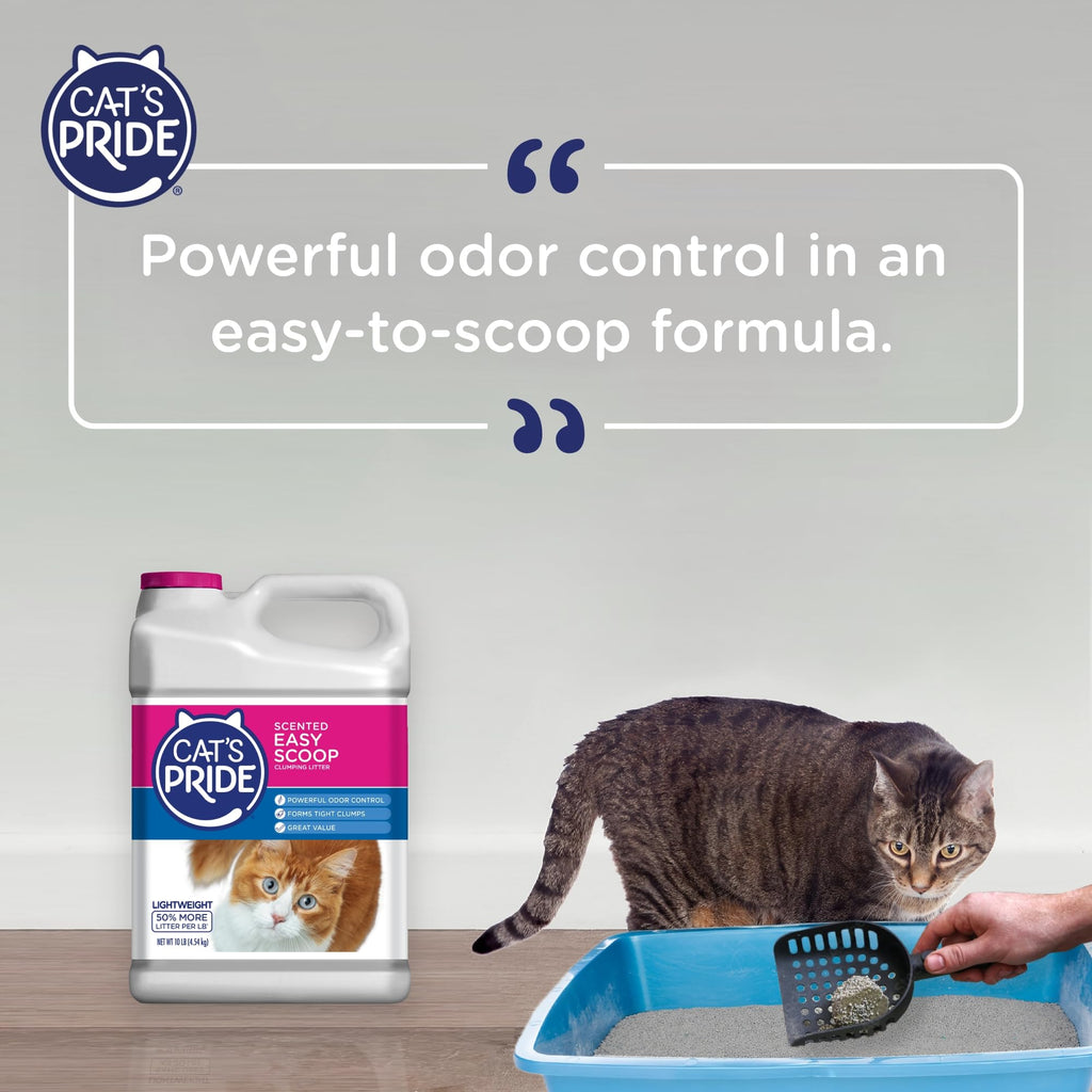 Scented Clumping Cat Litter 10lb N16089