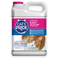Scented Clumping Cat Litter 10lb N16089