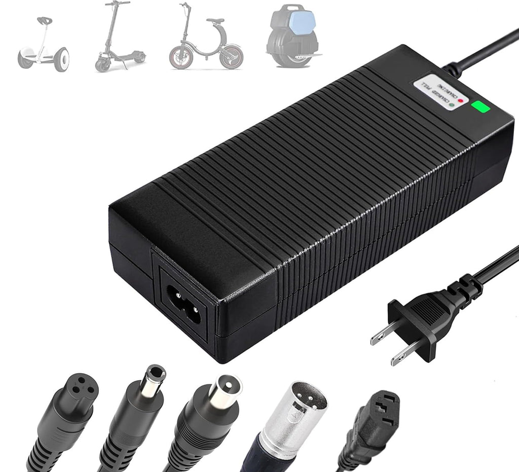 54.6V Charger for 48V Lithium Batteries W240504