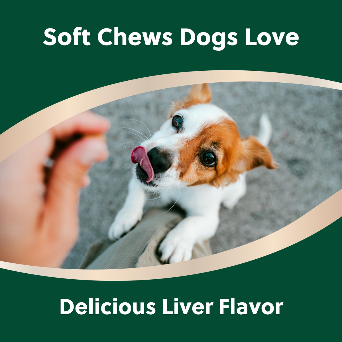 Soft Chews for Dogs with Glucosamine, MSM, UC-II Collagen & Omega-3s, 120 Soft Chews H345