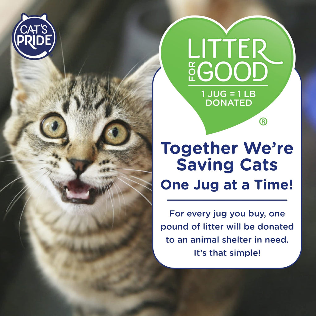 Scented Clumping Cat Litter 10lb N16089