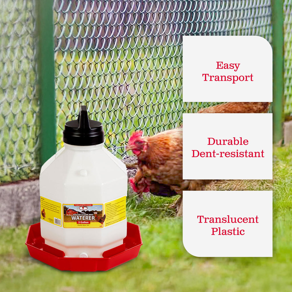 5 Gallon Hanging Automatic Poultry Waterer Dispenser, 2-Pack W68767