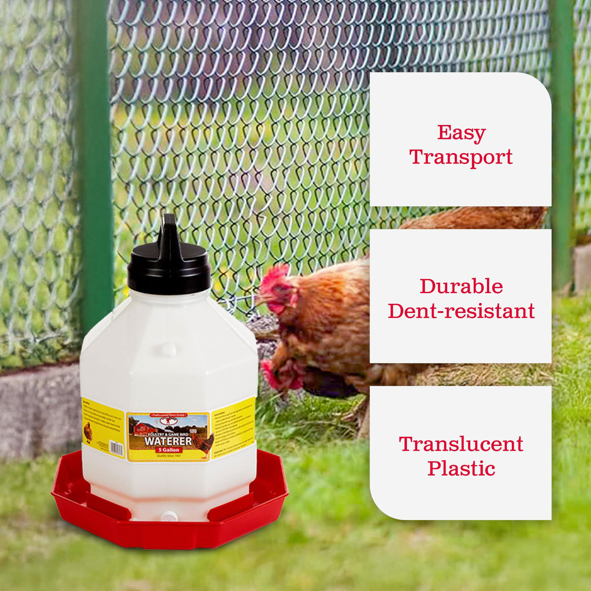 5 Gallon Hanging Automatic Poultry Waterer Dispenser, 2-Pack W68767