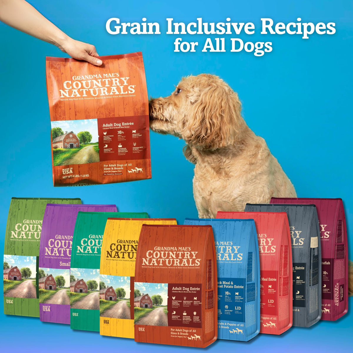 Chicken & Brown Rice Dry Dog Food 26 LB Bag V2810