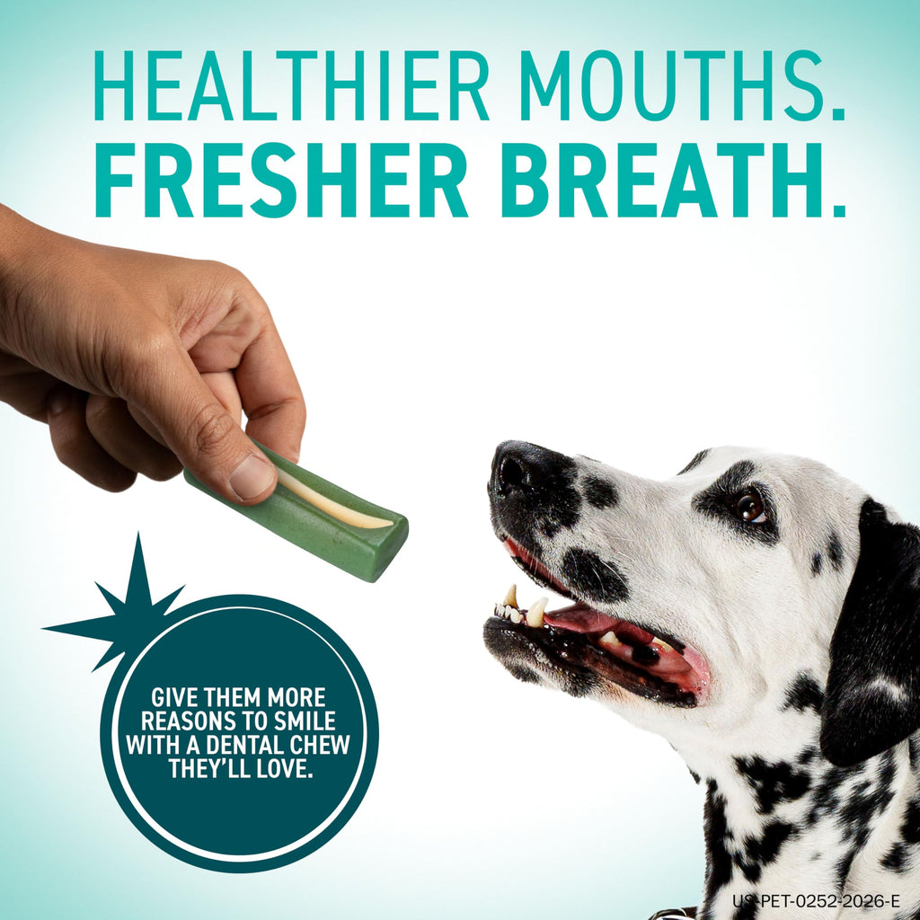 Dental Hygiene Chews for Dogs L8022