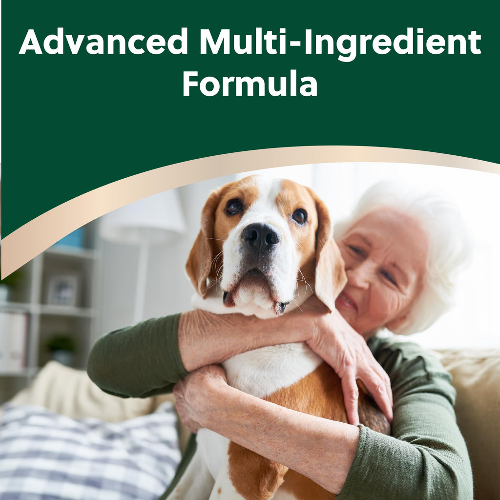 Soft Chews for Dogs with Glucosamine, MSM, UC-II Collagen & Omega-3s, 120 Soft Chews H345
