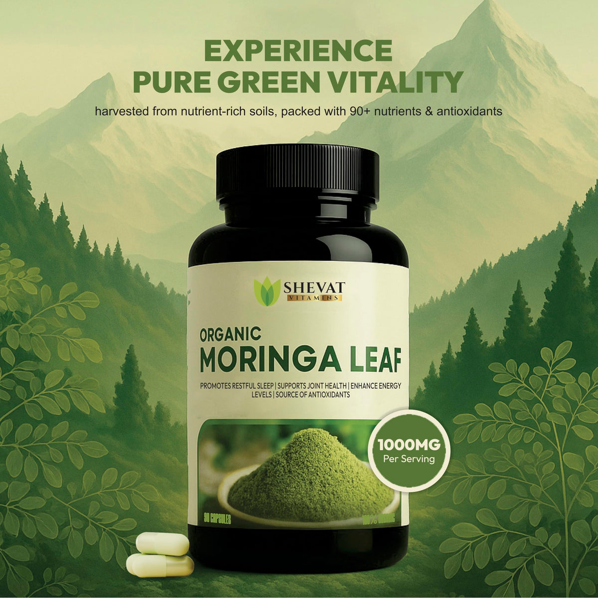 Organic Moringa Leaf Capsules 1000mg 90 Capsules N992