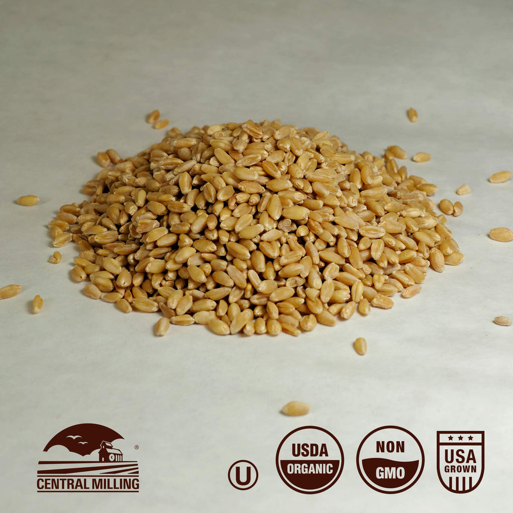 Organic Hard White Wheat Berries 25 lbs U6835
