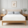 Twin Memory Foam Mattress 5 Inch Green Tea Infused L815