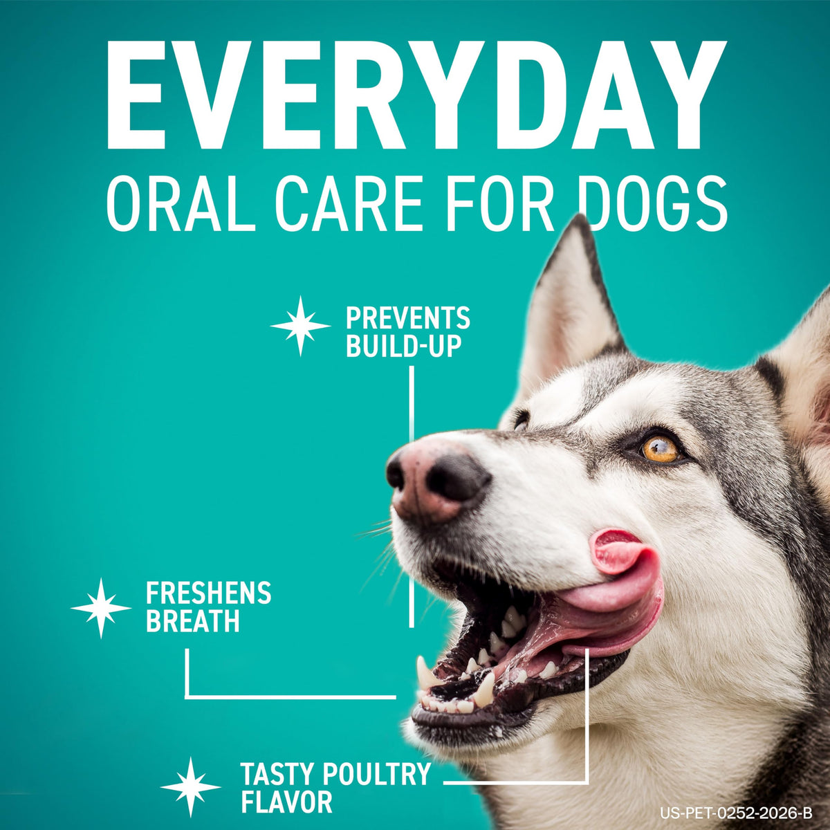 Dental Hygiene Chews for Dogs L8022