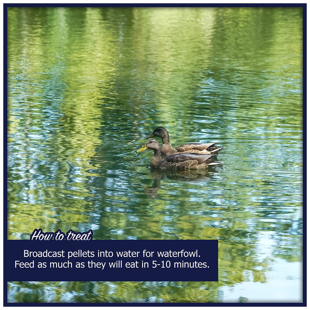 Waterfowl Feed 20 lb Bag Floating Pellets M52970