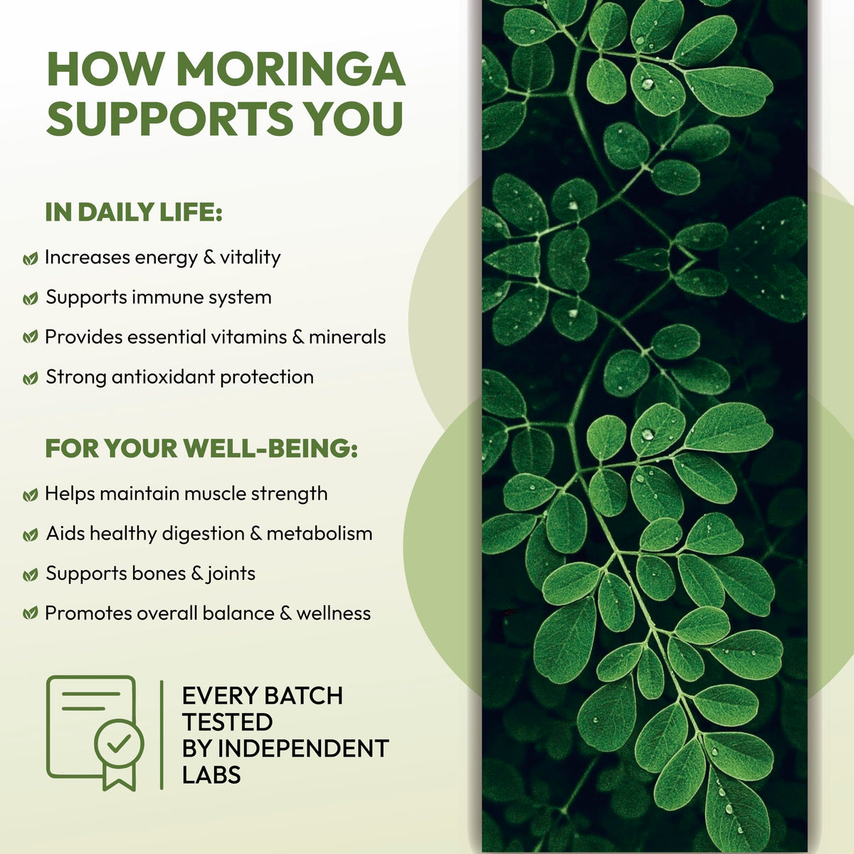 Organic Moringa Leaf Capsules 1000mg 90 Capsules N992