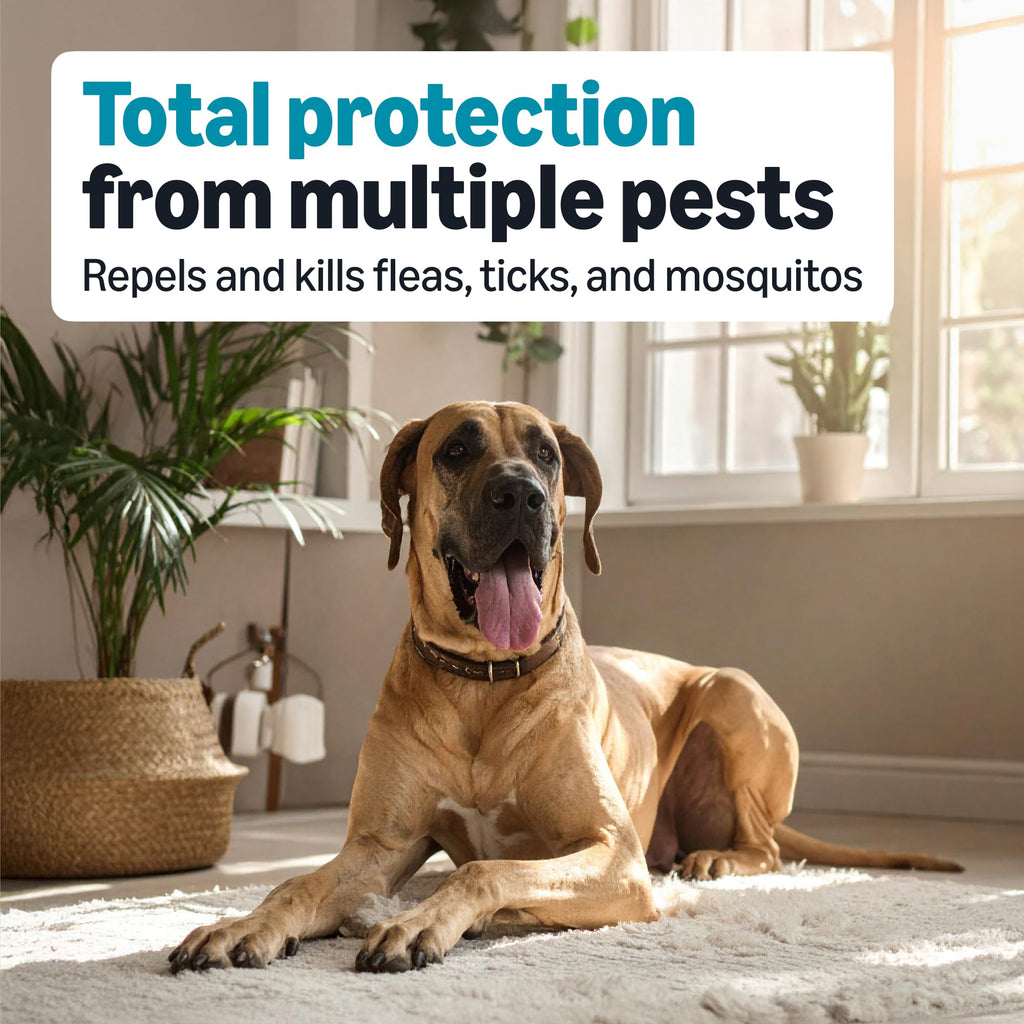Flea, Tick & Mosquito Topical Treatment for X-Large Dogs, 6 Count R487981