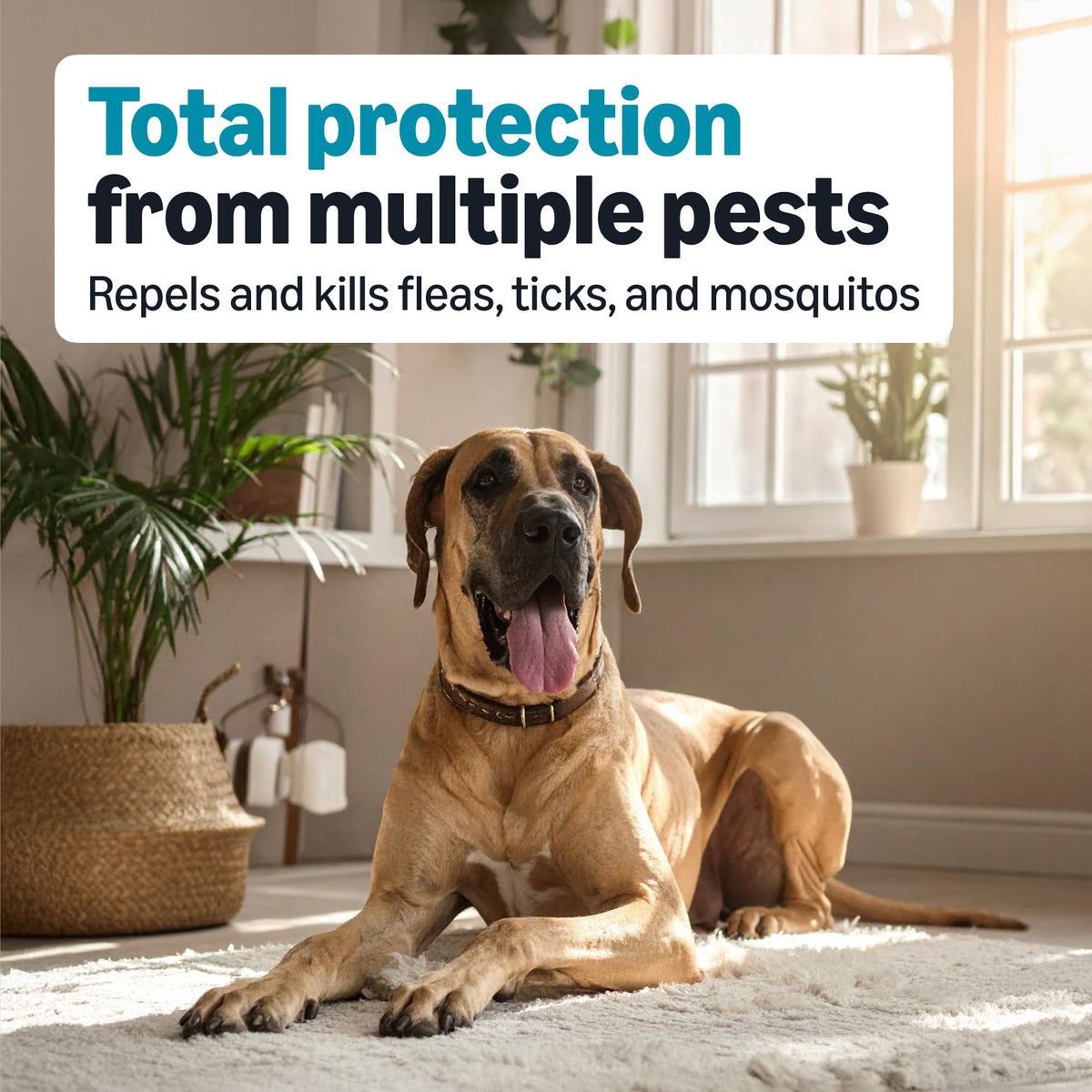 Flea, Tick & Mosquito Topical Treatment for X-Large Dogs, 6 Count R487981