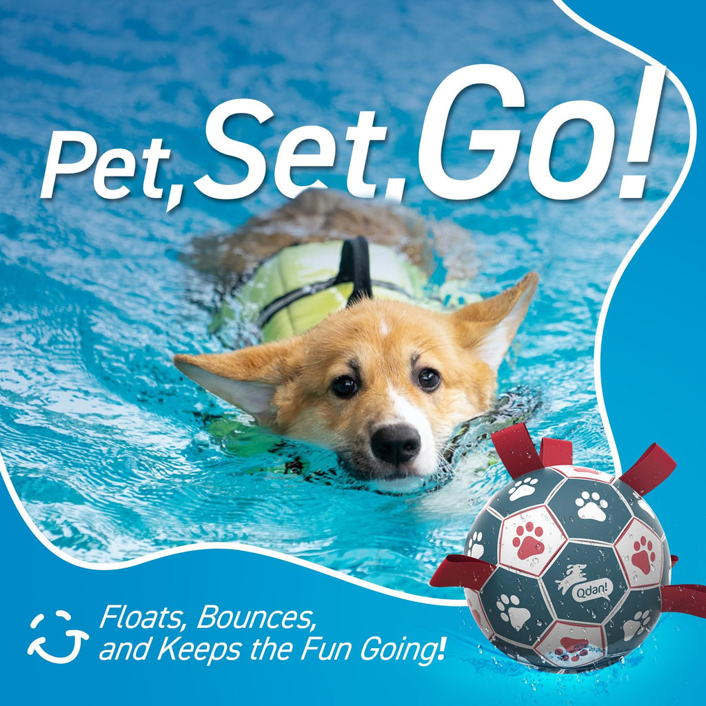 6 Inch Dog Soccer Ball with Straps Y55964