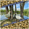 Waterfowl Feed 20 lb Bag Floating Pellets M52970
