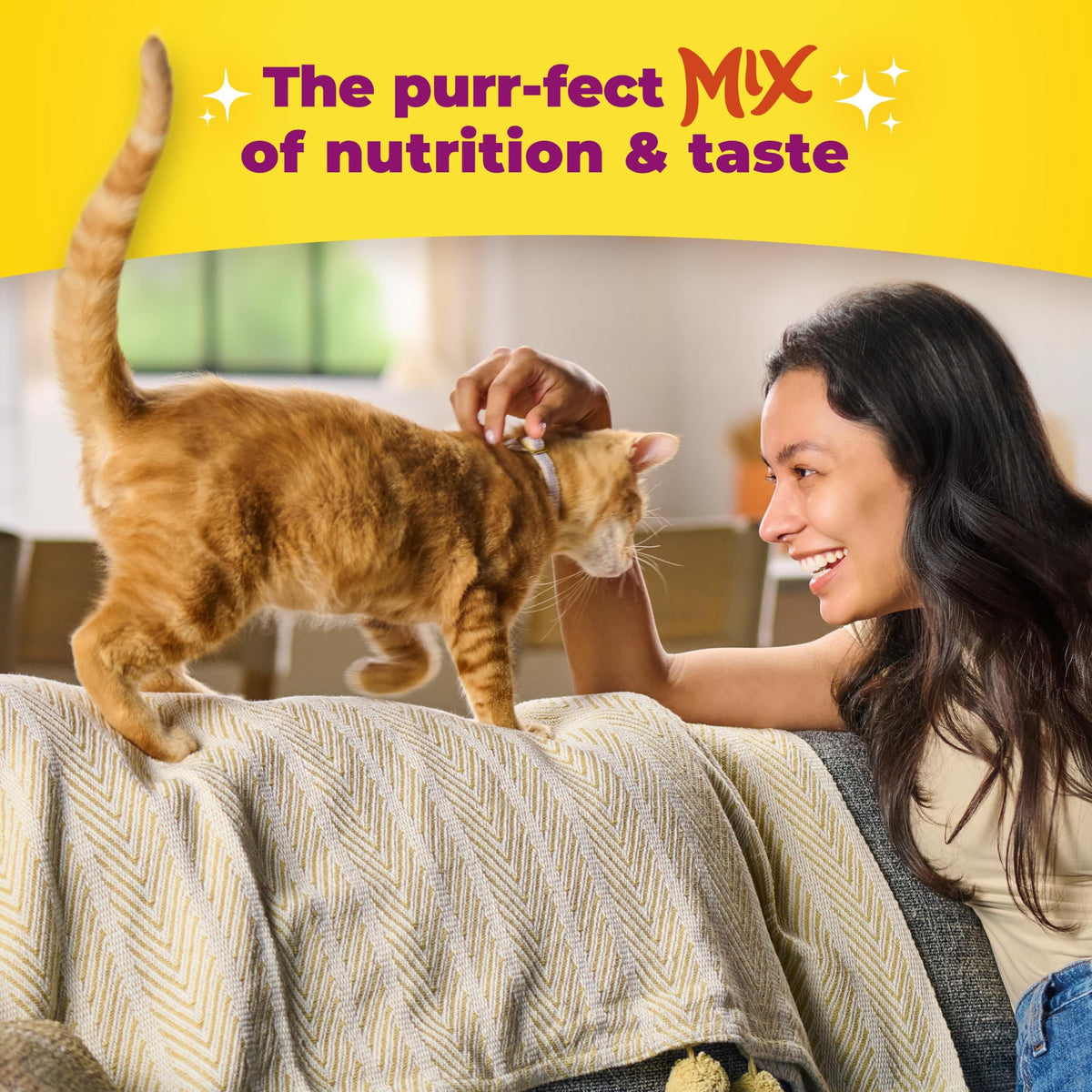 Dry Cat Food for Kittens, 4 Bags M22401