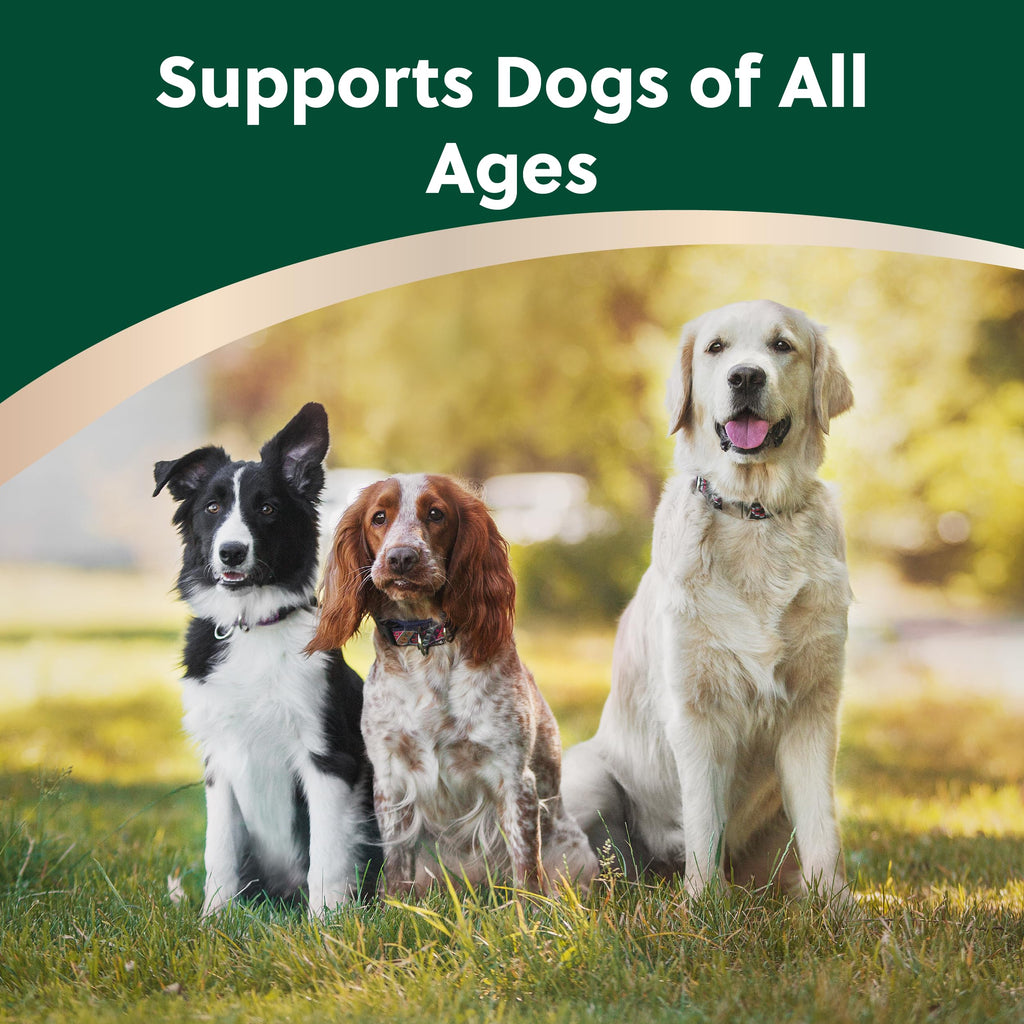 Soft Chews for Dogs with Glucosamine, MSM, UC-II Collagen & Omega-3s, 120 Soft Chews H345