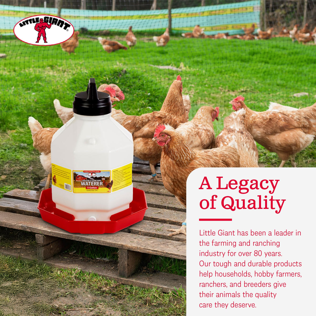 5 Gallon Hanging Automatic Poultry Waterer Dispenser, 2-Pack W68767